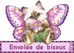 Image hébergée par Casimages.com : votre hébergeur d images simple et gratuit