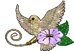 Image hébergée par Casimages.com : votre hébergeur d images simple et gratuit