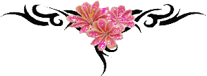 Image h&eacute;berg&eacute;e par Casimages.com : votre h&eacute;bergeur d images simple et gratuit