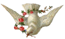 http://www.casimages.com/ Image hébergée par Casimages.com : votre hébergeur d images simple et gratuit