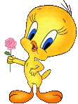 Image hébergée par Casimages.com : votre hébergeur d images simple et gratuit