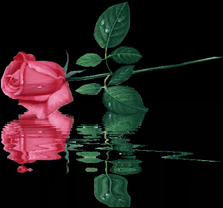 Image h�berg�e par Casimages.com : votre h�bergeur d images simple et gratuit