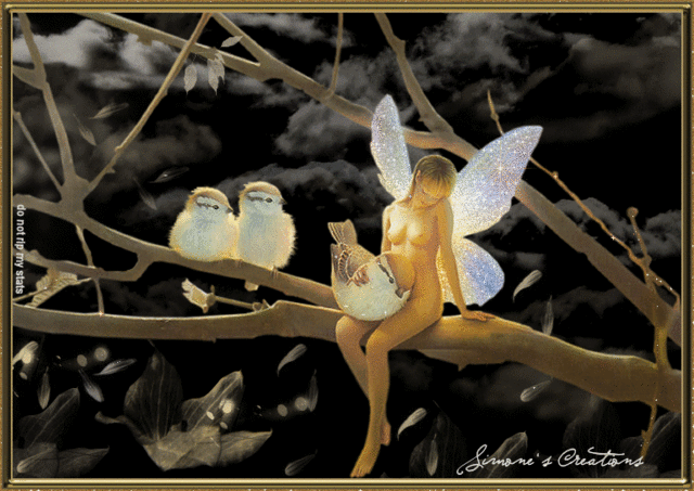 Image h�berg�e par Casimages.com : votre h�bergeur d images simple et gratuit