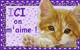 Image hébergée par Casimages.com : votre hébergeur d images simple et gratuit
