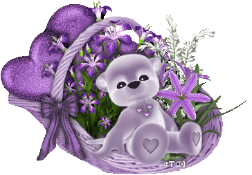 Image h�berg�e par Casimages.com : votre h�bergeur d images simple et gratuit