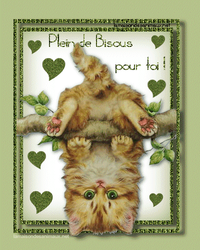 Image h�berg�e par Casimages.com : votre h�bergeur d images simple et gratuit