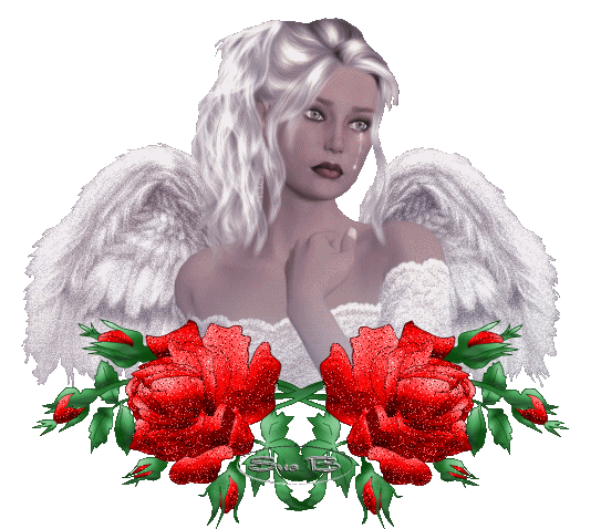 Image h�berg�e par Casimages.com : votre h�bergeur d images simple et gratuit