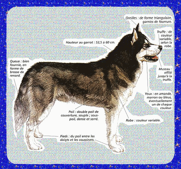 Image hébergée par Casimages.com : votre hébergeur d images simple et gratuit