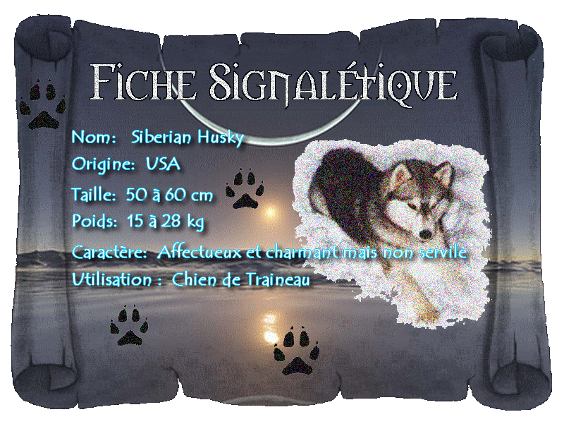 Image hébergée par Casimages.com : votre hébergeur d images simple et gratuit