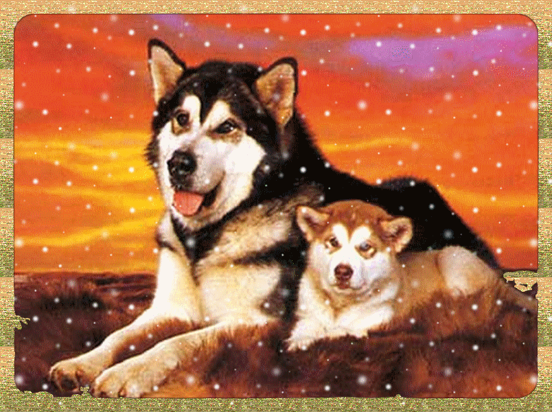 Image hébergée par Casimages.com : votre hébergeur d images simple et gratuit