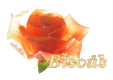 http://www.casimages.com/img/gif/07090610253525901169258.gif