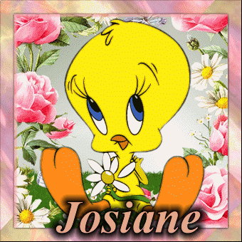 Image
h�berg�e par Casimages.com : votre h�bergeur d images simple et gratuit