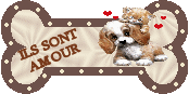 Image hébergée par Casimages.com : votre hébergeur d images simple et gratuit