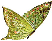 Image hébergée par Casimages.com : votre hébergeur d images simple et gratuit