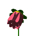 Image hébergée par Casimages.com : votre hébergeur d images simple et gratuit
