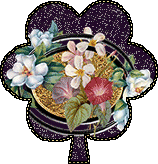 Image hébergée par Casimages.com : votre hébergeur d images simple et gratuit