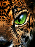 Image hébergée par Casimages.com : votre hébergeur d images simple et gratuit