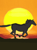 Image hébergée par Casimages.com : votre hébergeur d images simple et gratuit