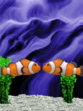 Image hébergée par Casimages.com : votre hébergeur d images simple et gratuit