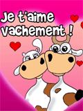 Image hébergée par Casimages.com : votre hébergeur d images simple et gratuit