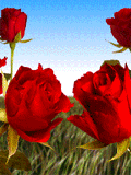 Image hébergée par Casimages.com : votre hébergeur d images simple et gratuit