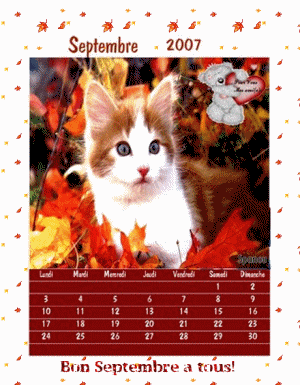 Image h�berg�e par Casimages.com : votre h�bergeur d images simple et gratuit