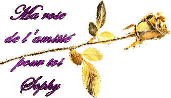 Image h�berg�e par Casimages.com : votre h�bergeur d images simple et gratuit