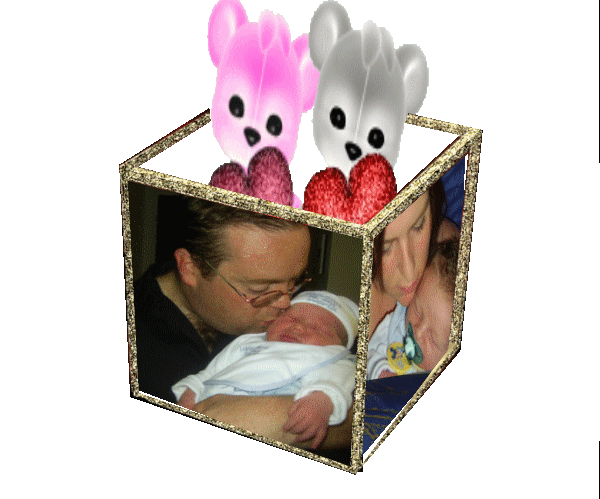 Image h�berg�e par Casimages.com : votre h�bergeur d images simple et gratuit