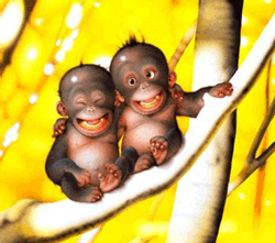 http://www.casimages.com/img/gif/070908105336131521187496.gif