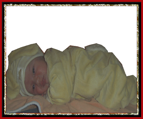 Image h�berg�e par Casimages.com : votre h�bergeur d images simple et gratuit