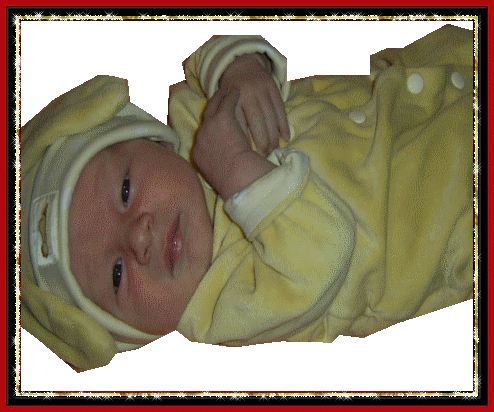 Image h�berg�e par Casimages.com : votre h�bergeur d images simple et gratuit