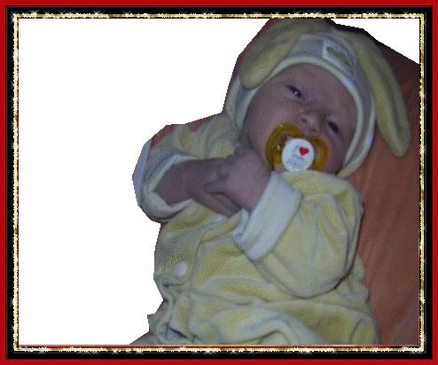 Image h�berg�e par Casimages.com : votre h�bergeur d images simple et gratuit