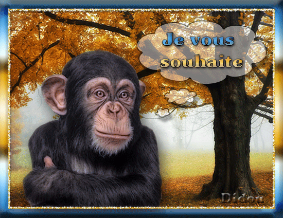 Image h�berg�e par Casimages.com : votre h�bergeur d images simple et gratuit