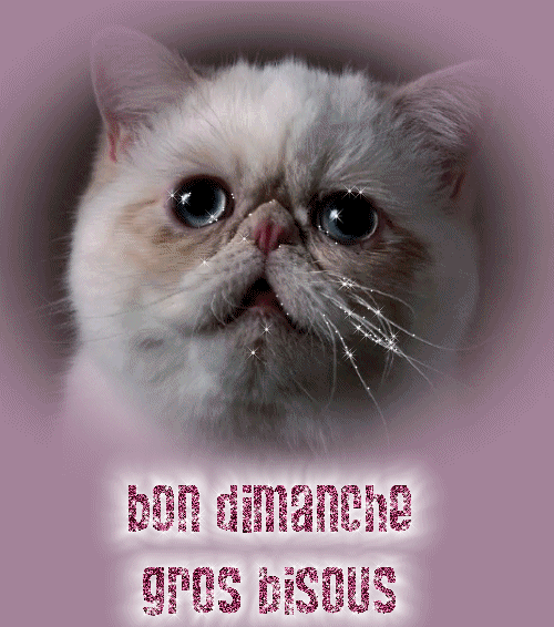 Image h�berg�e par Casimages.com : votre h�bergeur d images simple et gratuit