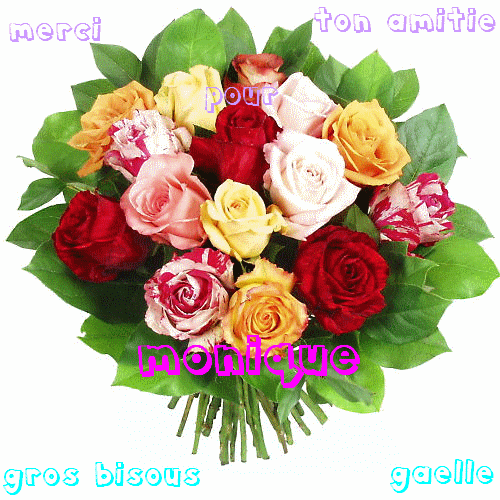 Image h�berg�e par Casimages.com : votre h�bergeur d images simple et gratuit