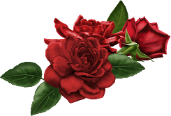 http://www.casimages.com/img/gif/07091003123738481200535.gif