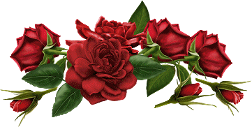 http://www.casimages.com/img/gif/07091003125138481200541.gif
