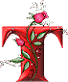 http://www.casimages.com/img/gif/07091005090638481201174.gif