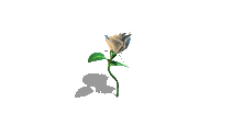 http://www.casimages.com/img/gif/070911084034131521210397.gif
