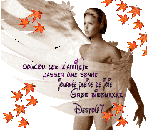 Image h�berg�e par Casimages.com : votre h�bergeur d images simple et gratuit