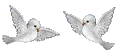 Image hébergée par Casimages.com : votre hébergeur d images simple et gratuit