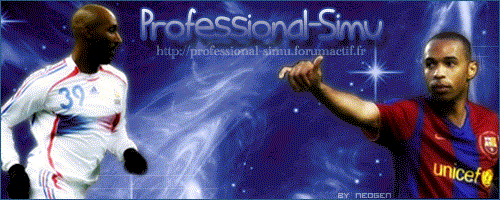 *~� Professional - Simu �~*