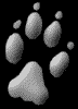 Image hébergée par Casimages.com : votre hébergeur d images simple et gratuit