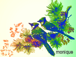 Image h&eacute;berg&eacute;e par Casimages.com : votre h&eacute;bergeur d images simple et gratuit