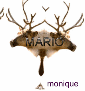 Image h&eacute;berg&eacute;e par Casimages.com : votre h&eacute;bergeur d images simple et gratuit