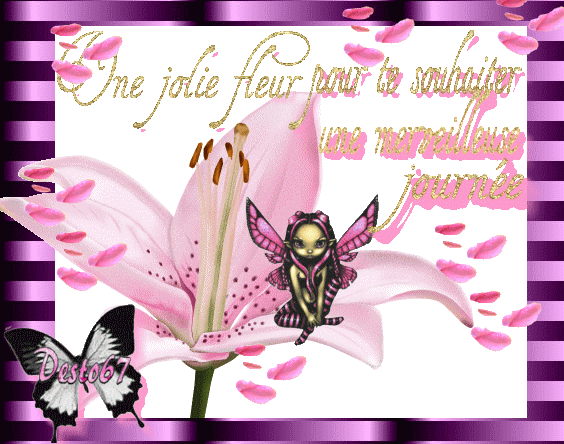 Image h�berg�e par Casimages.com : votre h�bergeur d images simple et gratuit