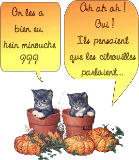 Image hébergée par Casimages.com : votre hébergeur d images simple et gratuit
