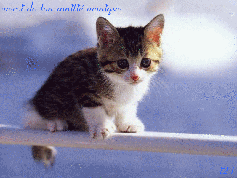 Image h�berg�e par Casimages.com : votre h�bergeur d images simple et gratuit