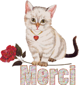 http://www.casimages.com/img/gif/0709180825031255238.gif
