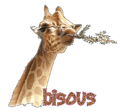 http://www.casimages.com/img/gif/070919032725131521252428.gif